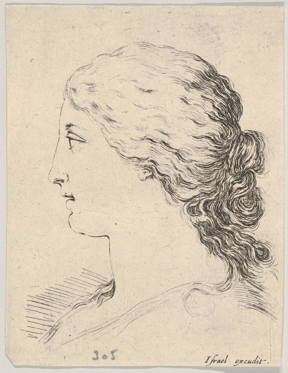 Levy 14: naisen pää, profiilissa, kirjasta "Kirja Learning to Draw" Livre pou..., n. 1649. tekijältä Stefano della Bella