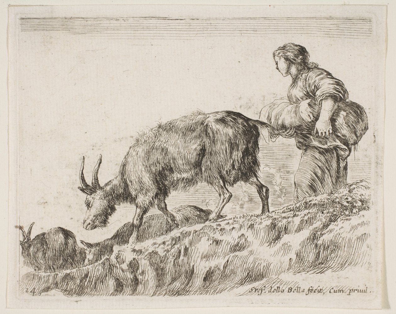 Levy 14: paimen paimen vuohia, eri eläimistä Diversi animali, n. 1641. tekijältä Stefano della Bella