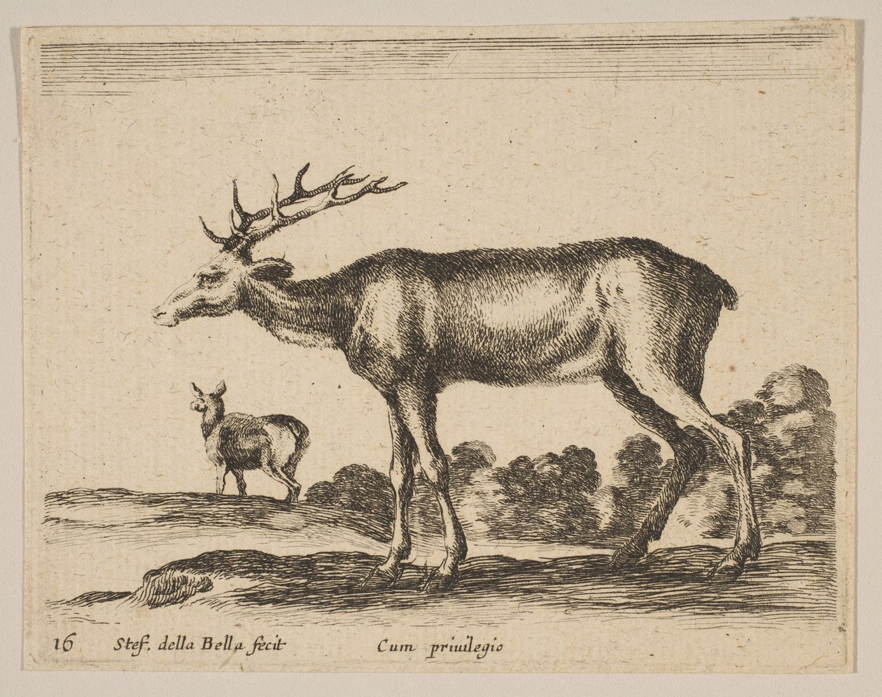 Levy 16: polttarit, eri eläimistä Diversi animali, n. 1641. tekijältä Stefano della Bella