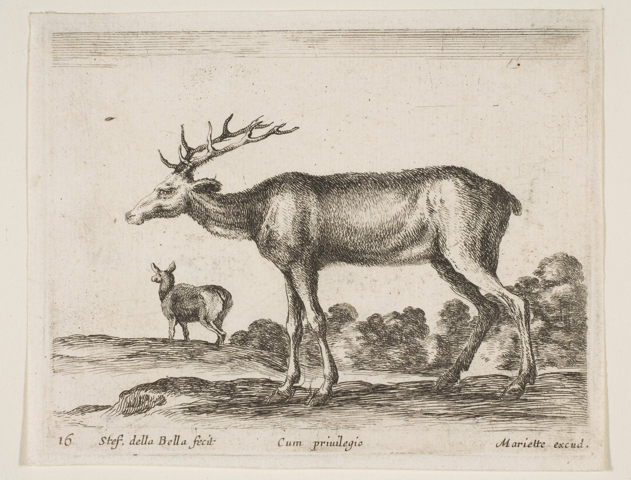 Levy 16: polttarit, eri eläimistä Diversi animali, n. 1641. tekijältä Stefano della Bella