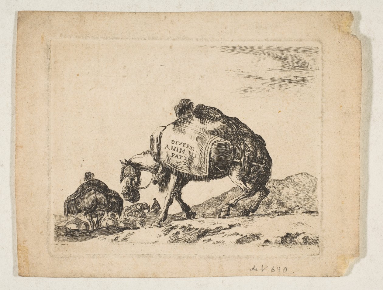 Levy 1: laumahevonen, lajista "Eri eläimet" Diversi animali, n. 1641. tekijältä Stefano della Bella