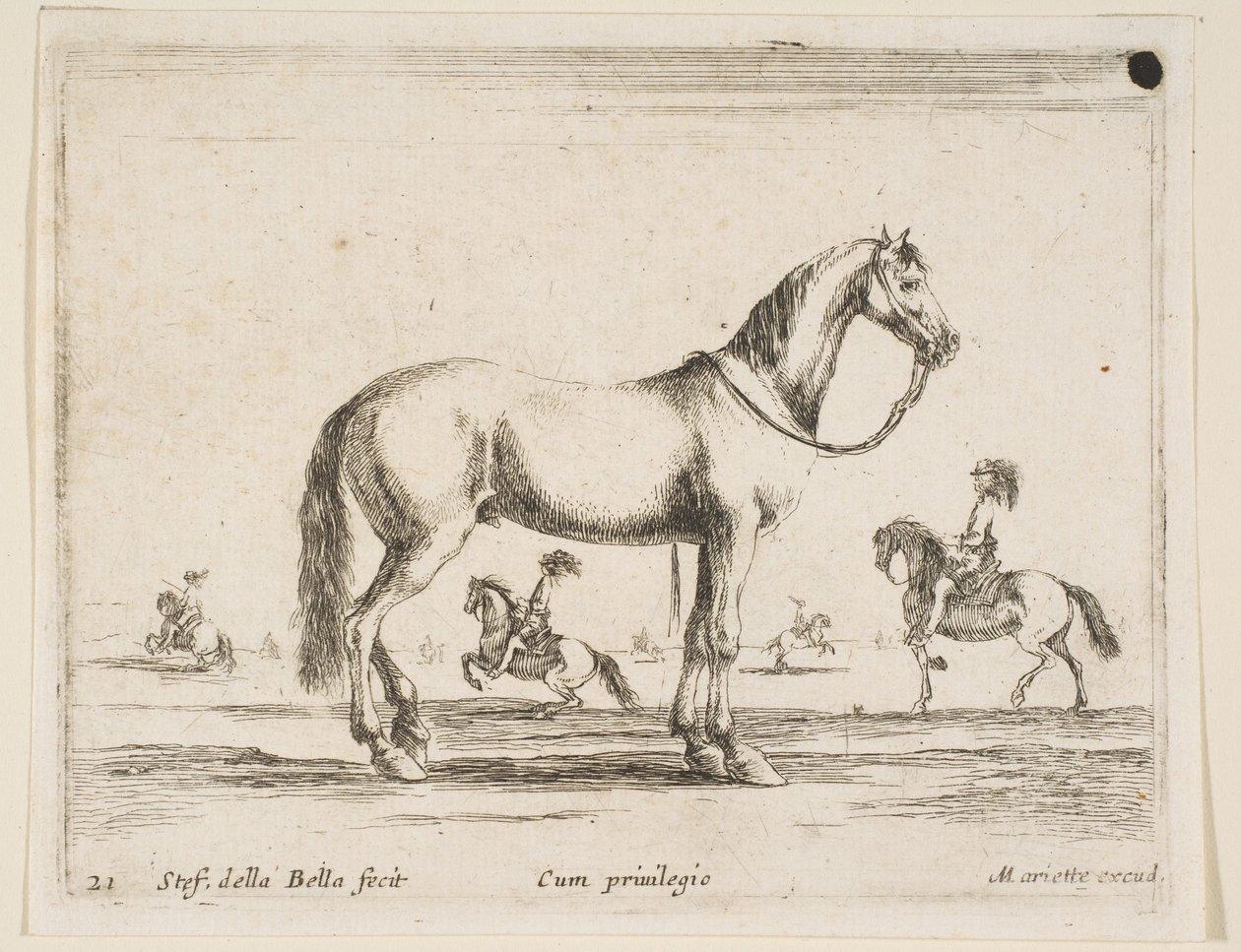 Levy 21: hevonen, eri eläimistä Diversi animali, 1641. tekijältä Stefano della Bella