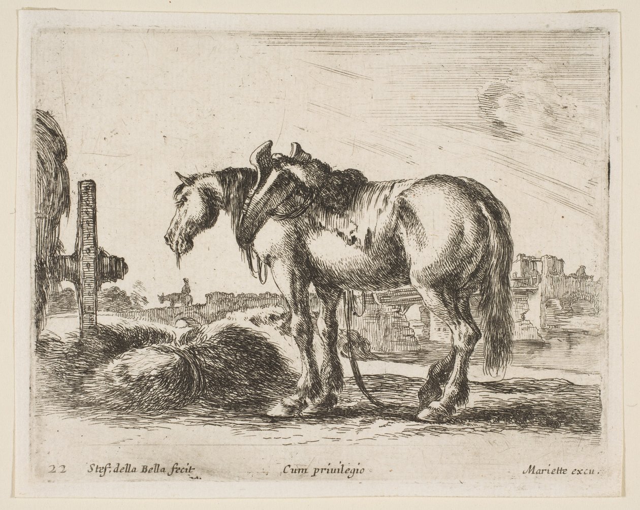 Levy 22: kärryhevonen, eri eläimistä Diversi animali, n. 1641. tekijältä Stefano della Bella