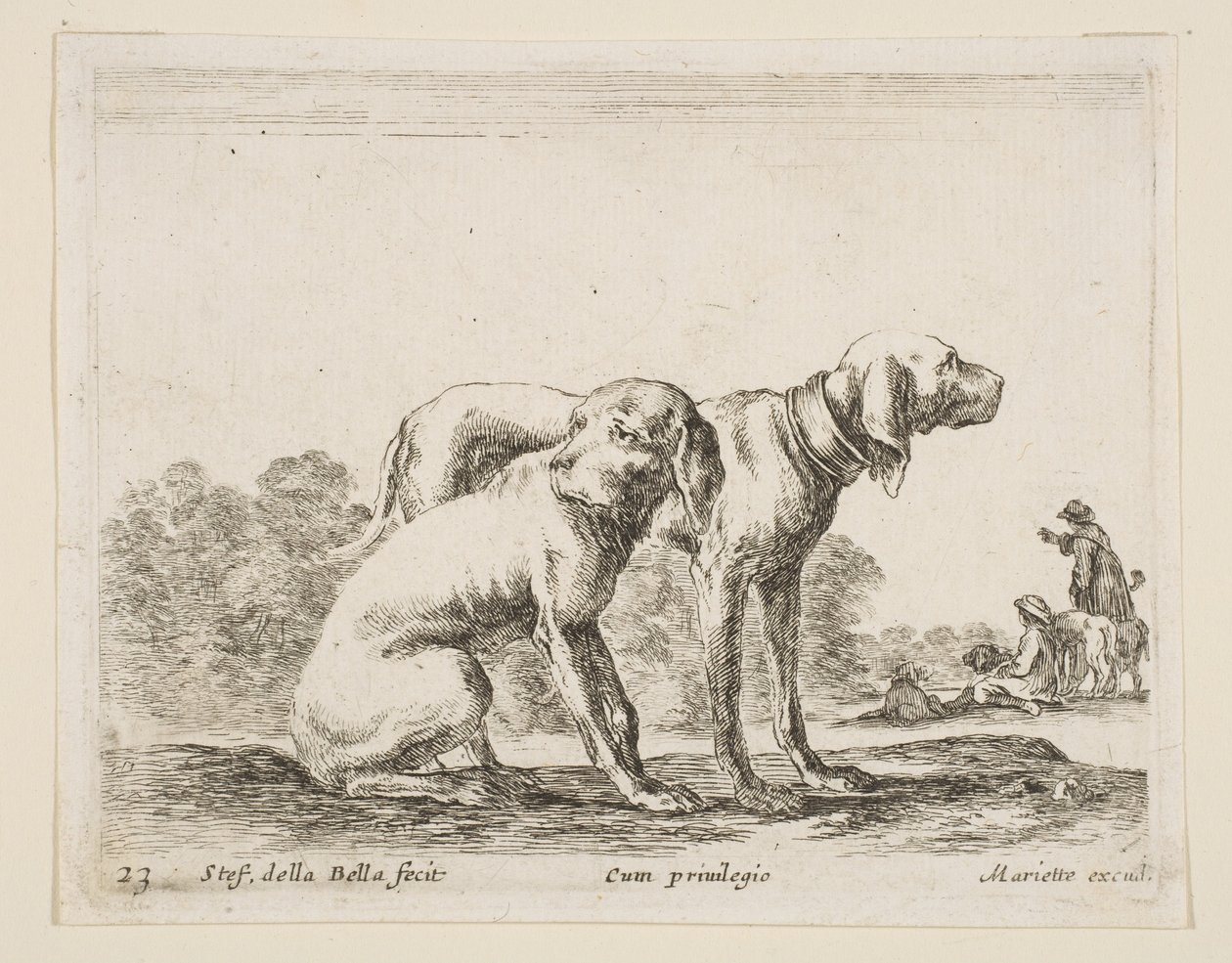 Levy 23: kaksi koiraa, eri eläimistä Diversi animali, n. 1641. tekijältä Stefano della Bella