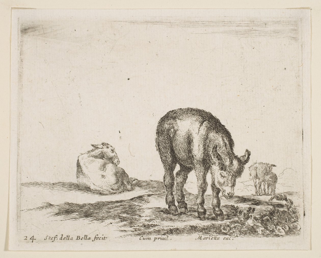 Levy 24: aasit, eri eläimistä Diversi animali, n. 1641. tekijältä Stefano della Bella