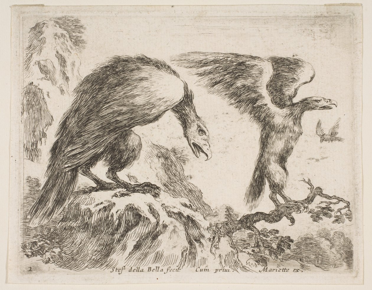 Levy 2: kotka ja kotkanpoika, eri eläimistä Diversi animali, n. 1641. tekijältä Stefano della Bella