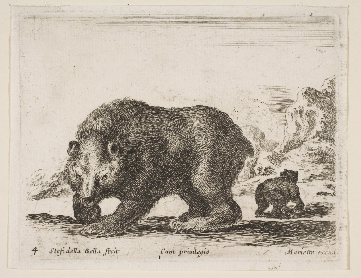 Levy 4: karhu, kirjasta "Eri eläimet" Diversi animali, 1641. tekijältä Stefano della Bella
