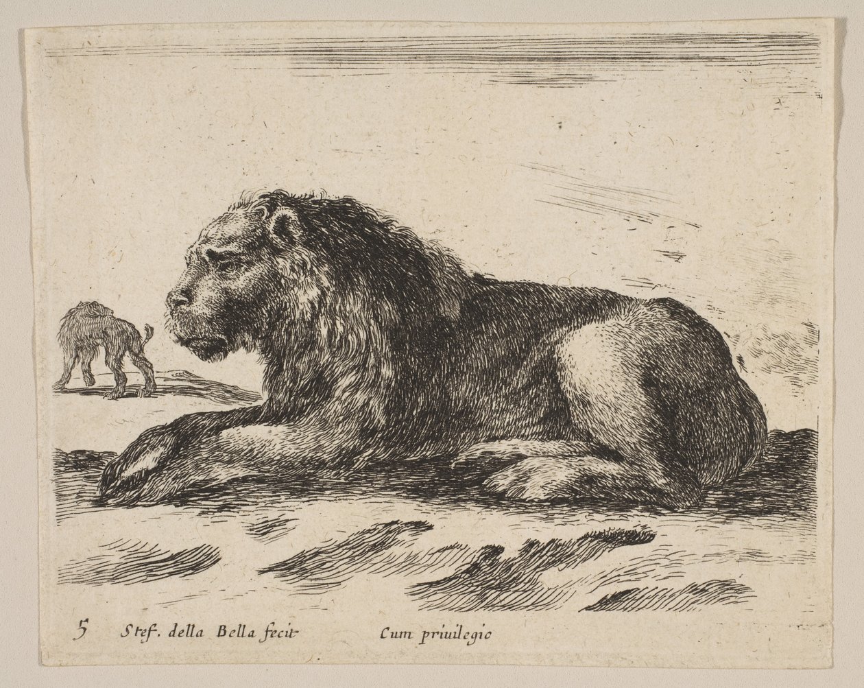 Levy 5: makuuasennossa oleva leijona, eri eläimistä Diversi animali, n. 1641. tekijältä Stefano della Bella