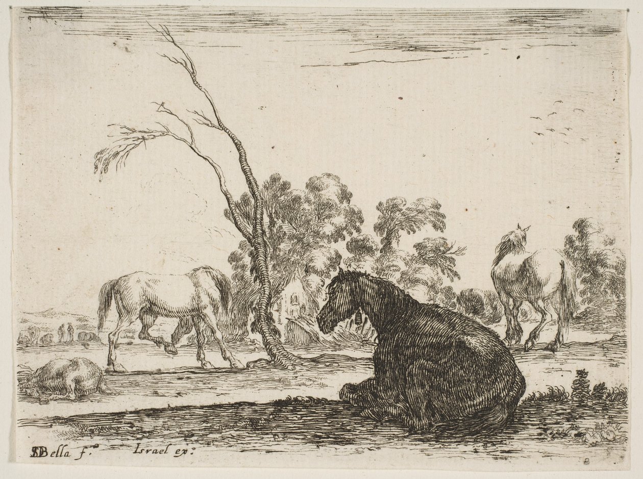 Kilpi 8: istuva hevonen oikealla, takaa katsottuna ja vasemmalle käännettynä, kolme muuta hor..., 1642. tekijältä Stefano della Bella