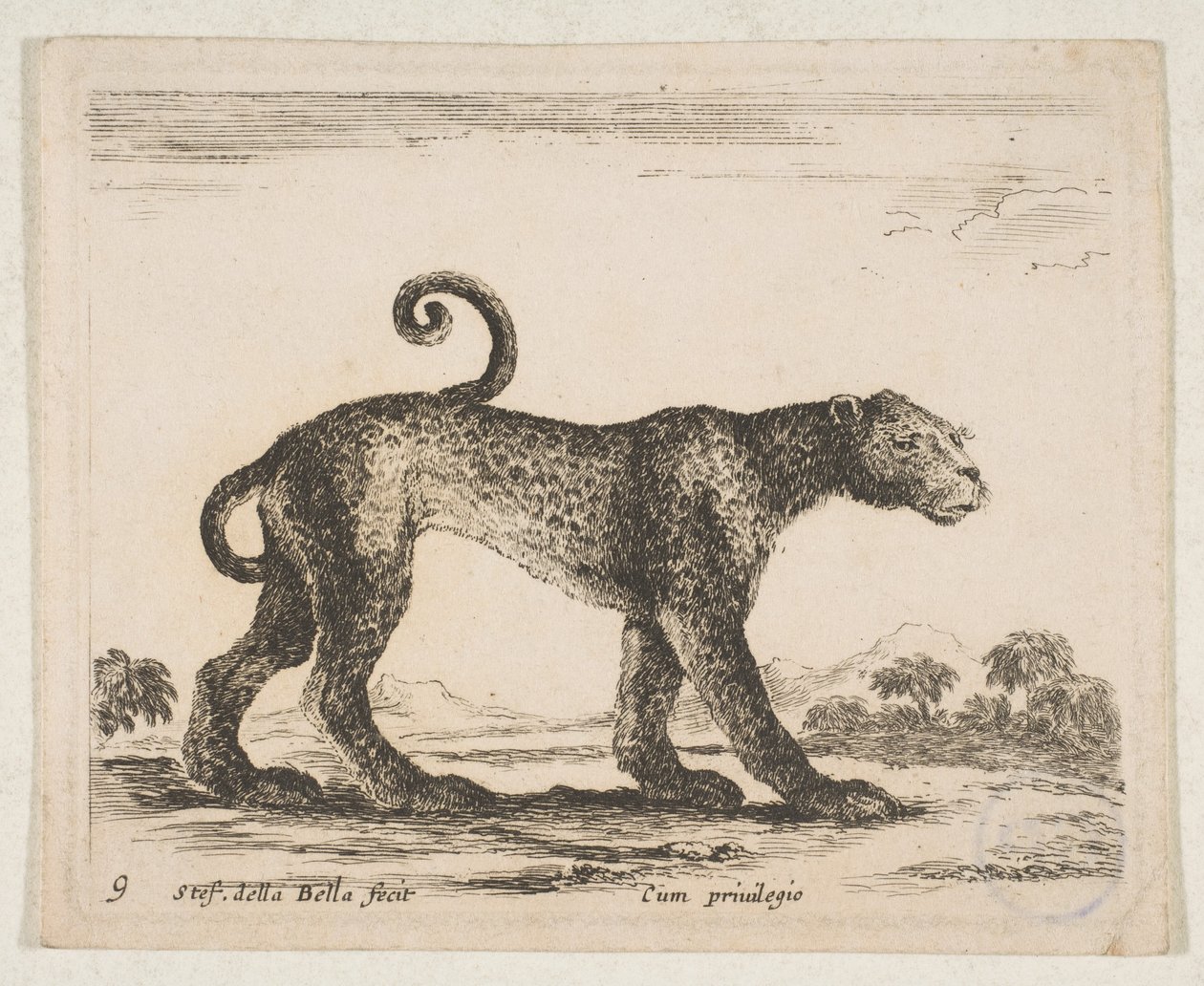 Levy 9: leopardi, lajista "Erilaiset eläimet" Diversi animali, n. 1641. tekijältä Stefano della Bella