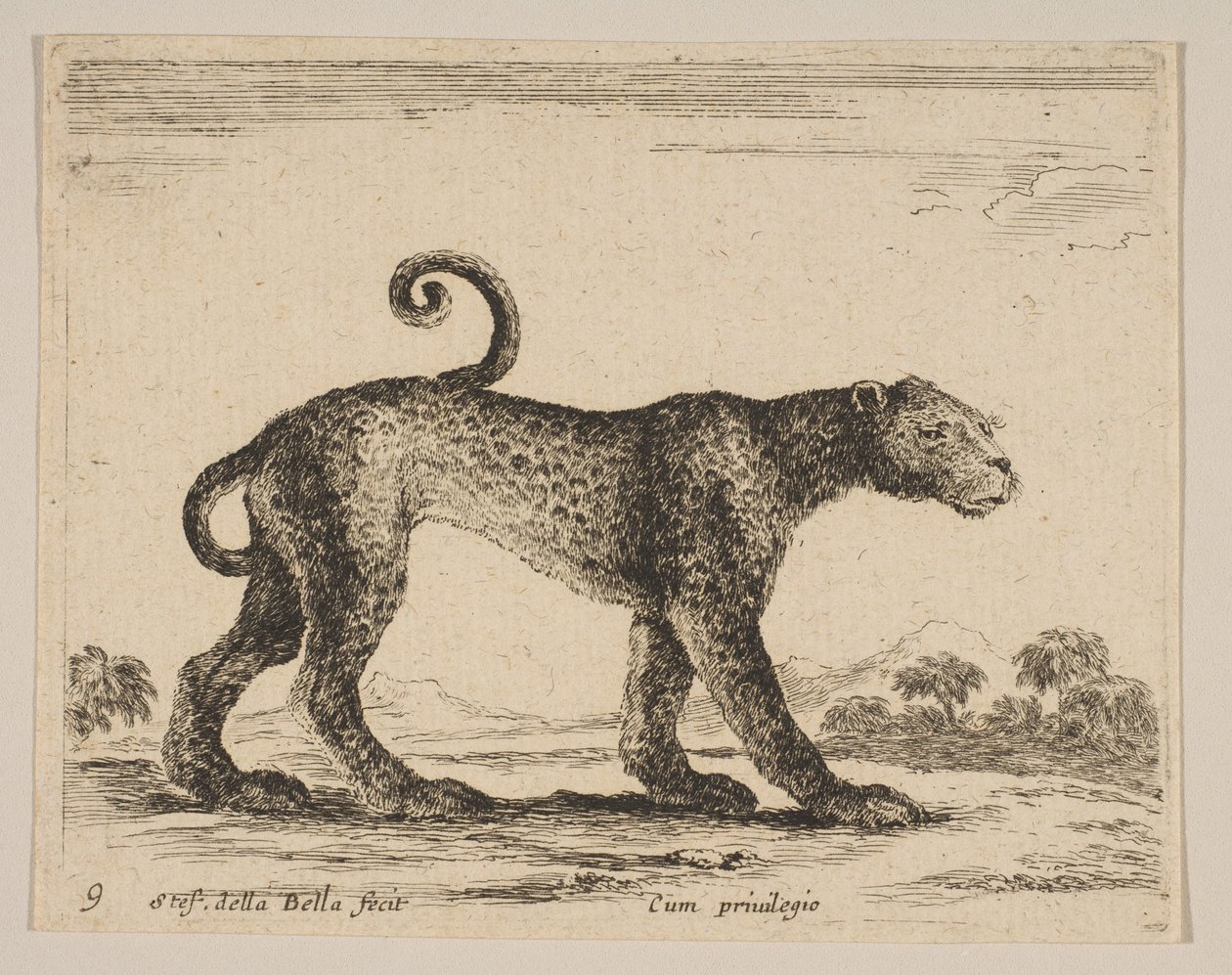 Levy 9: leopardi, eri eläimistä Diversi animali, n. 1641. tekijältä Stefano della Bella