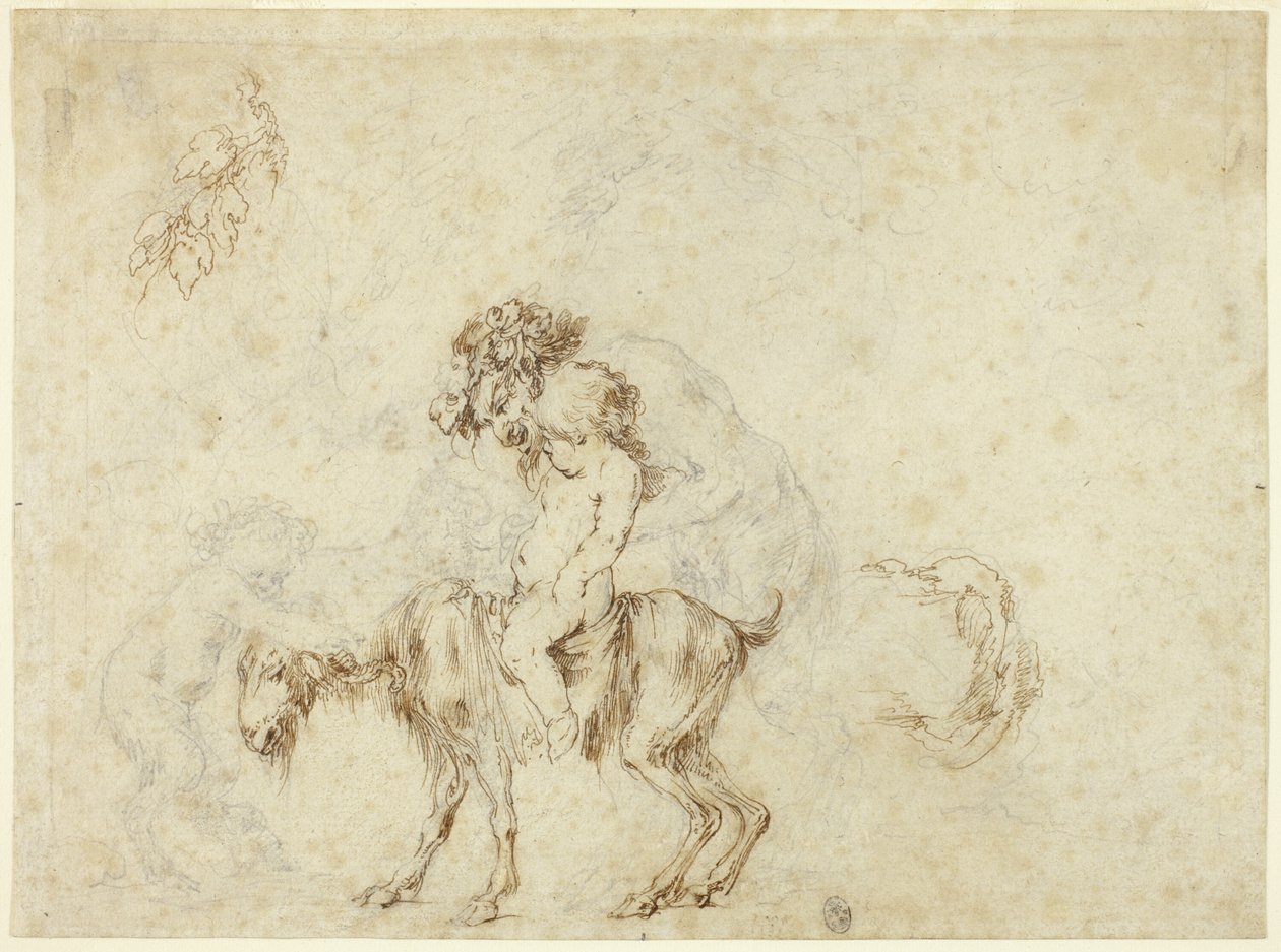 Tutkimus Satyr Family Walkingista (recto); Luonnokset viidestä koristeastiasta (käänteinen) tekijältä Stefano della Bella
