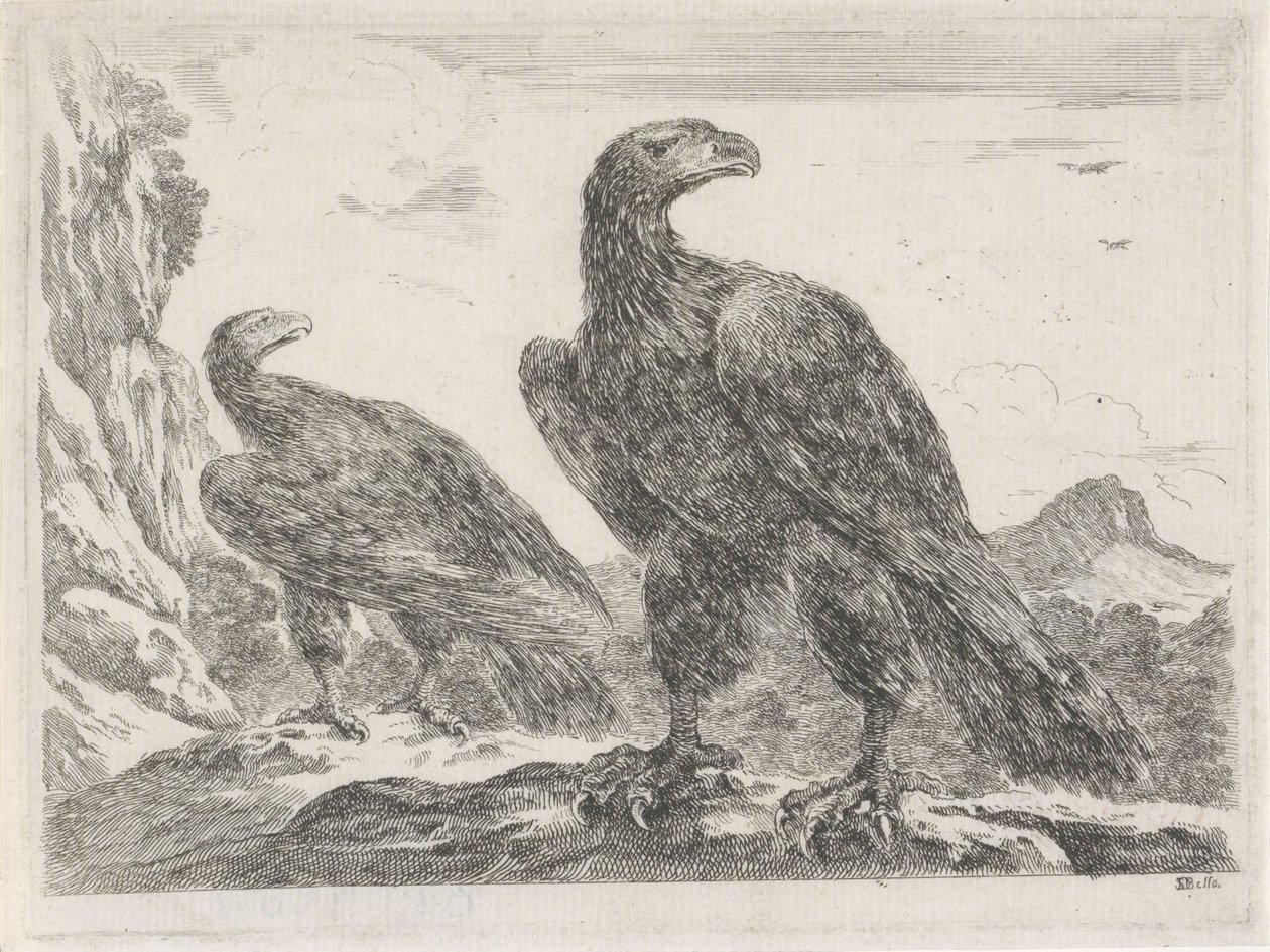 Kaksi kotkaa, joiden pää on oikealla Eagles (sarjan nimi) tekijältä Stefano della Bella