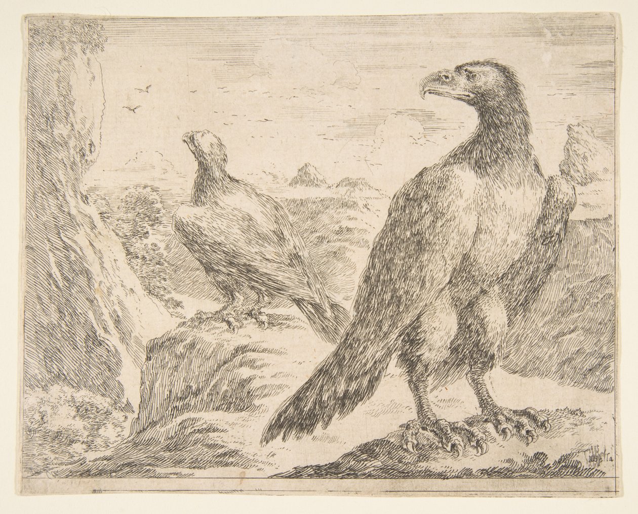 Kaksi kotkaa, Eagles Les aigles, n. 1651. tekijältä Stefano della Bella