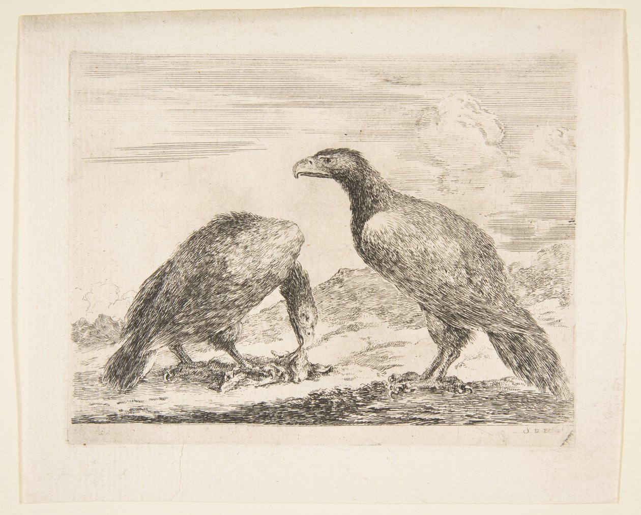 Kaksi kotkaa, joista toinen syö karitsan, Eagles Les aiglesilta, n. 1651. tekijältä Stefano della Bella