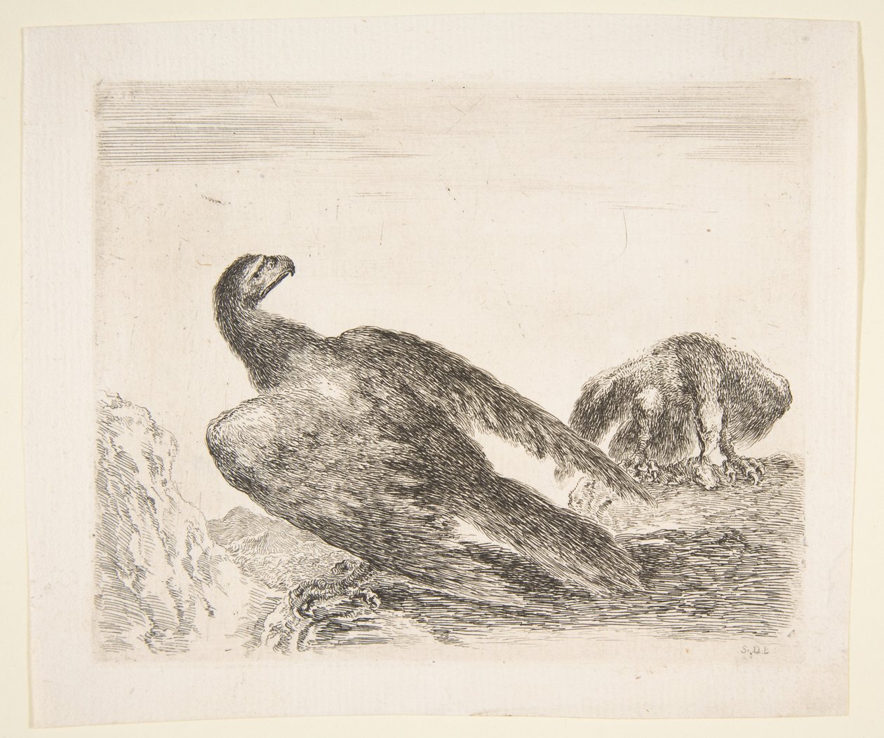Kaksi kotkaa, toisessa saalista, Eagles Les aiglesilta, n. 1651. tekijältä Stefano della Bella