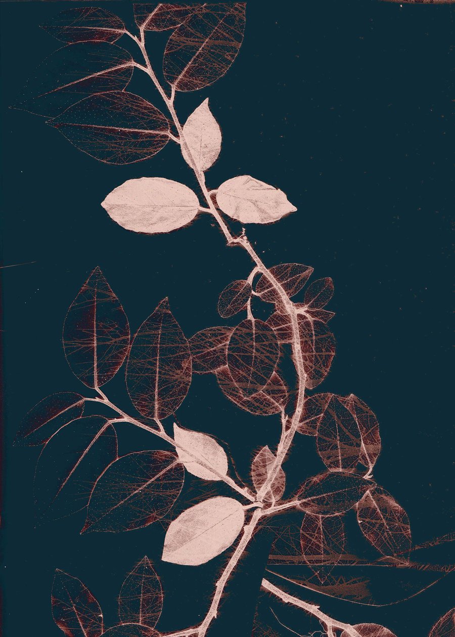 Freyr VII Tumma kupari, 2018 (digitaalinen) tekijältä Stephen Dow