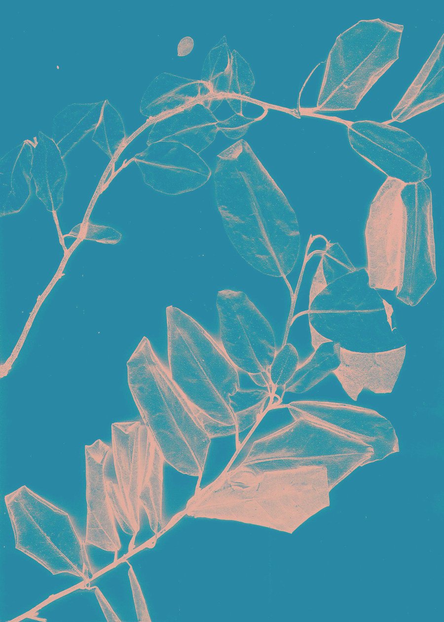 Freyr VI Dawn, 2018 (digitaalinen) tekijältä Stephen Dow