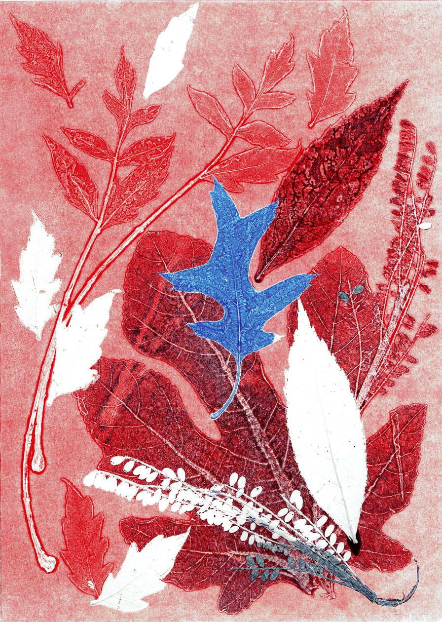 Jol III, 2017 (monoprintti paperille) tekijältä Stephen Dow