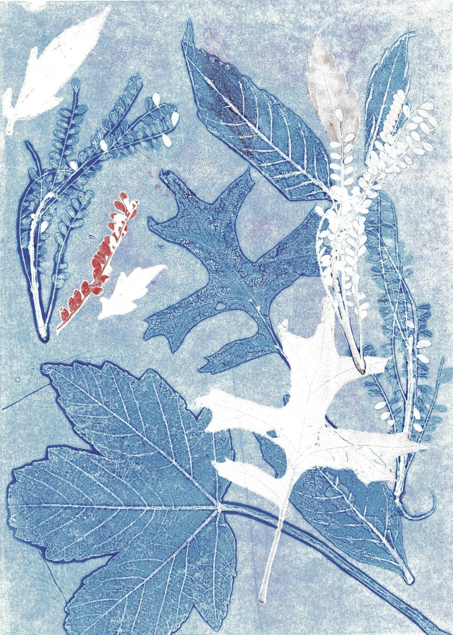 Jol II, 2017 (monoprintti paperille) tekijältä Stephen Dow