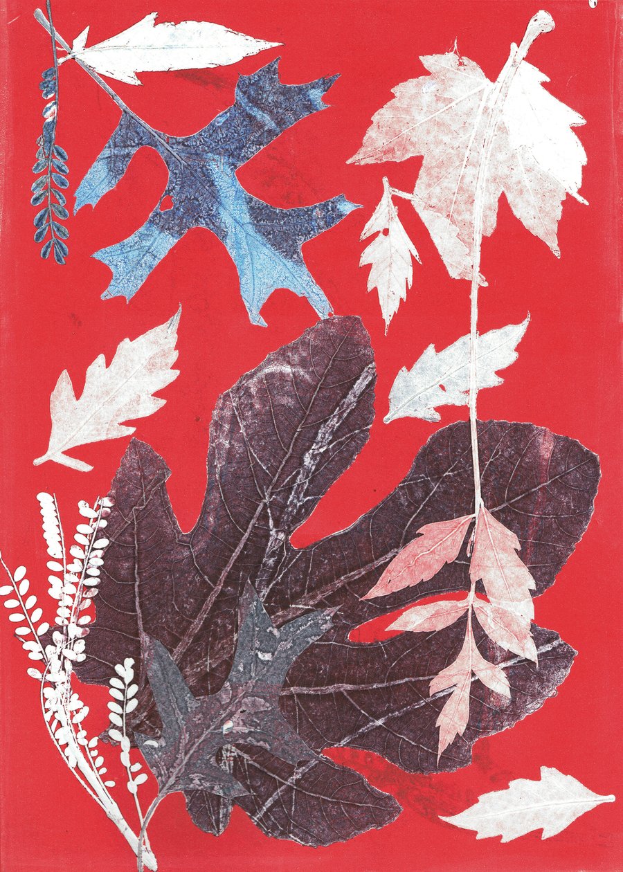 Jol XII, 2017 (monoprintti paperille) tekijältä Stephen Dow