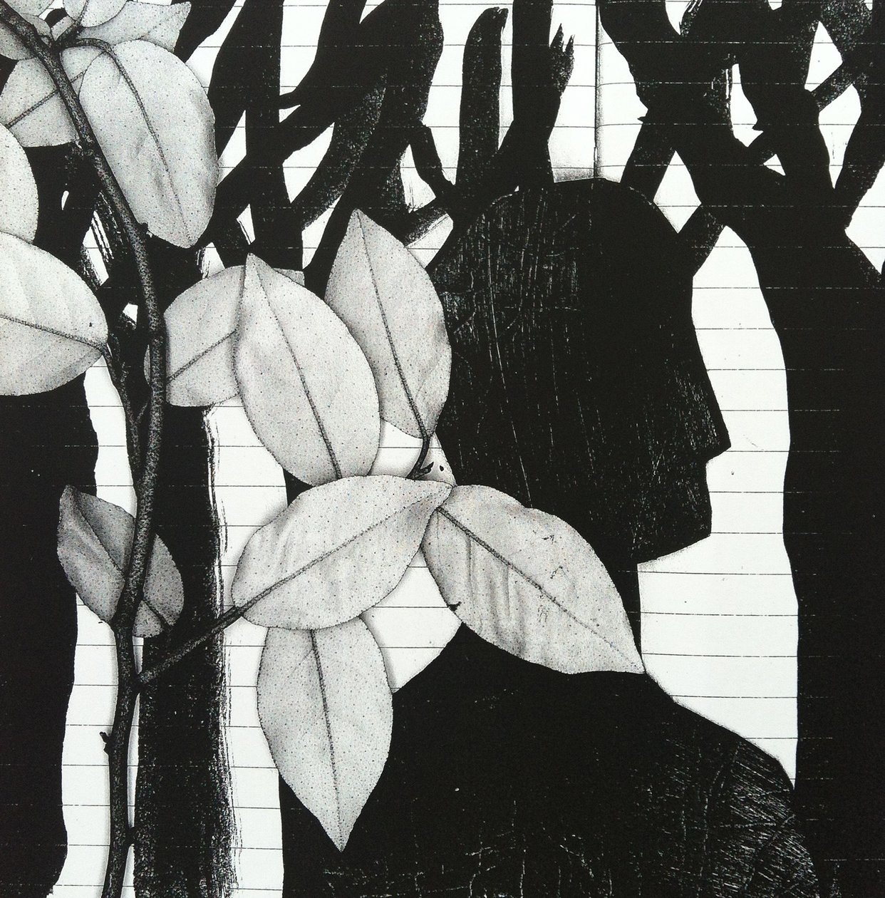Metsä, 2014 (kollaasi) tekijältä Stephen Dow