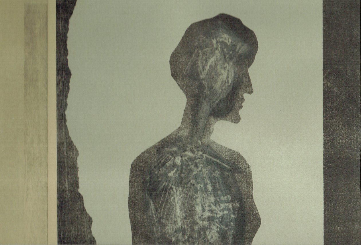 la Foret XII, 2017 (kollaasi) tekijältä Stephen Dow