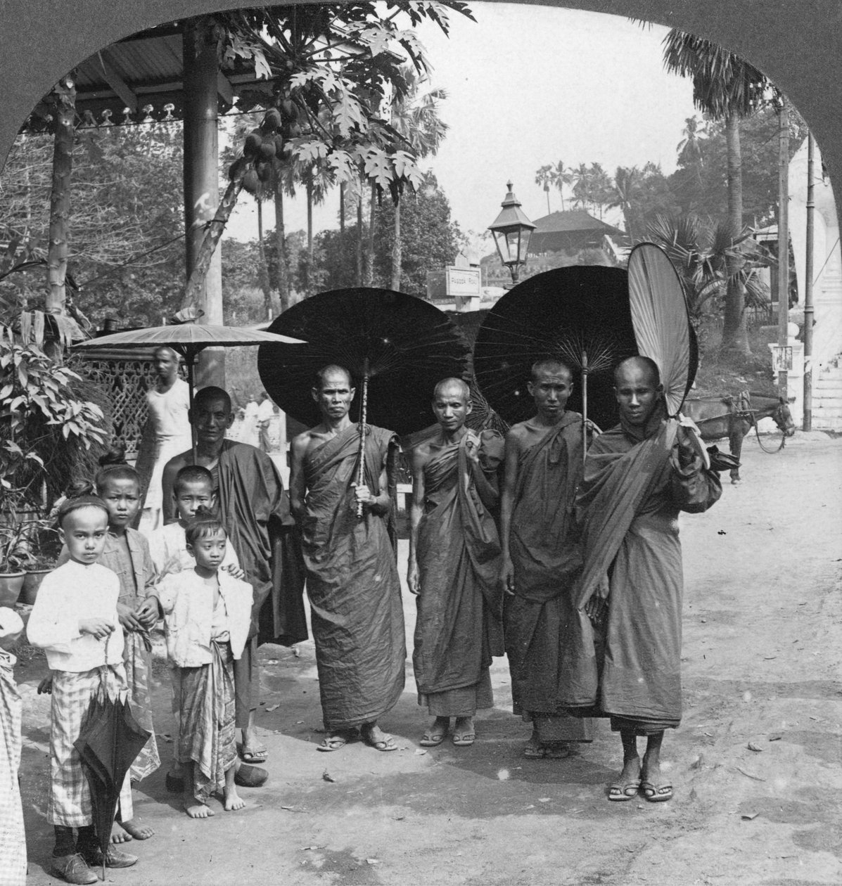Buddhalaiset munkit aurinkovarjoilla ja tuulettimilla, Rangoon, Burma, 1908 tekijältä Stereo Travel Co
