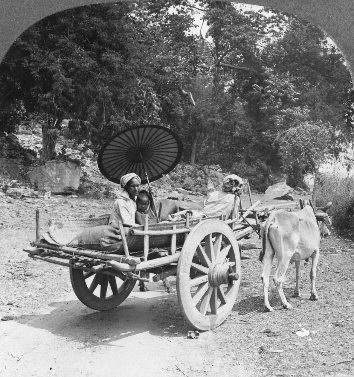 Perhe matkalla viidakon halki Mingunin lähellä Burmassa, 1908 tekijältä Stereo Travel Co