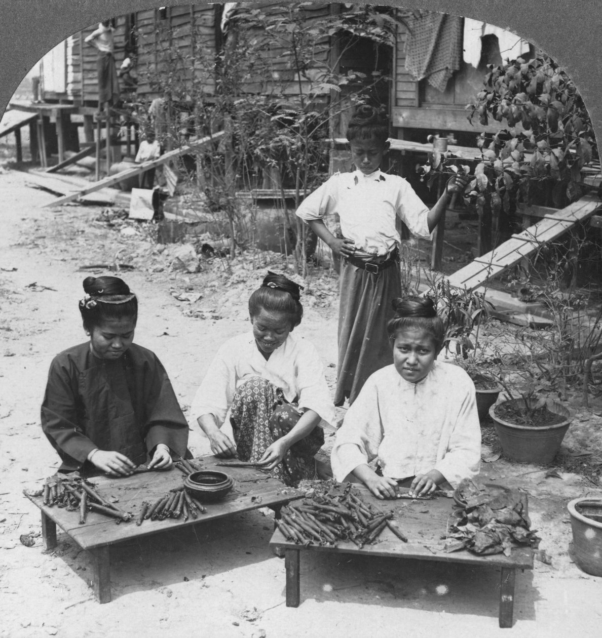 Naisten polttamien valtavien sikarien valmistus, Burma, 1908 tekijältä Stereo Travel Co