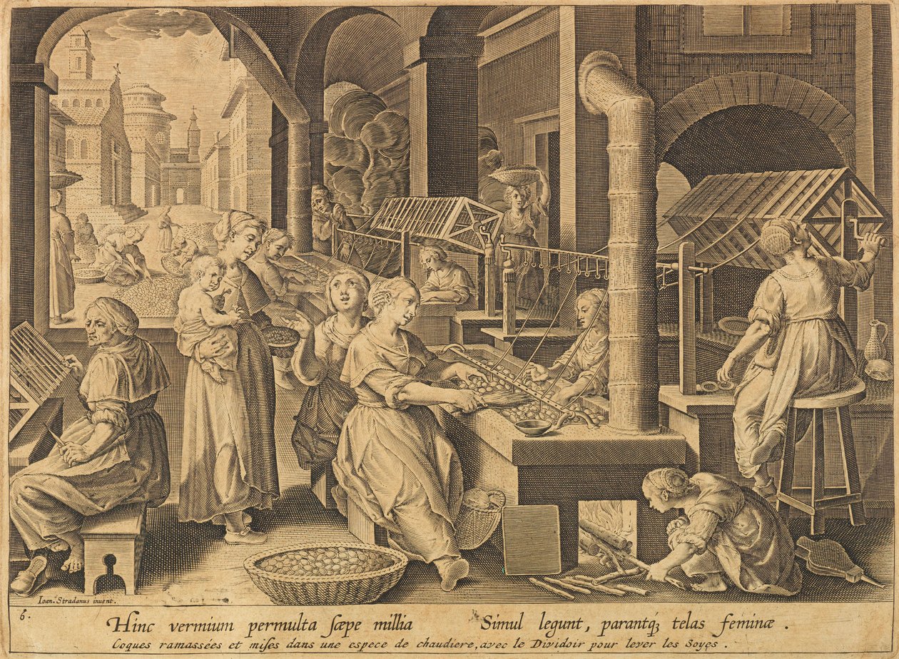 Silkkiuutto Vermis sericus, vuoden 1640 jälkeen. tekijältä Stradanus