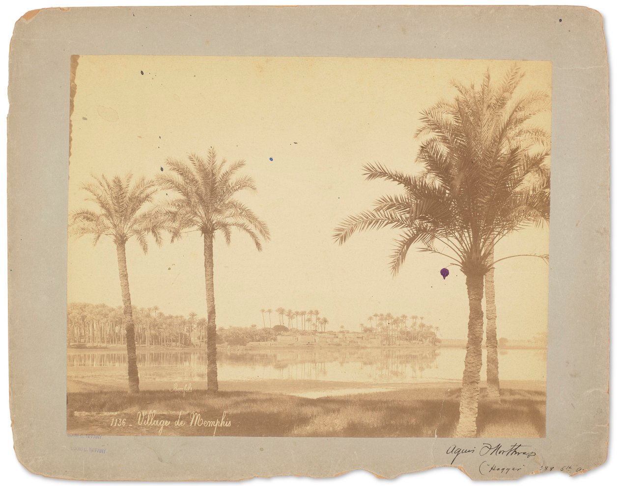Memphisin kylä, Egypti, noin 1898-1920 (s/w-kuva). tekijältä Studios Tiffany