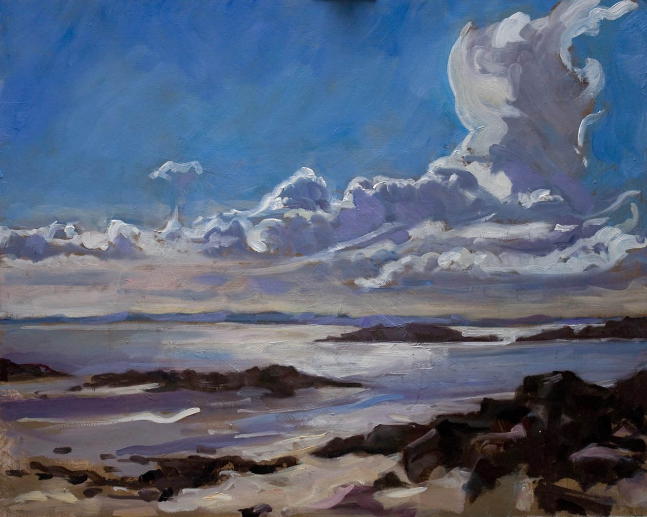 Myöhään iltapäivällä Gallowayssa, 2010, tekijältä Sue Wales