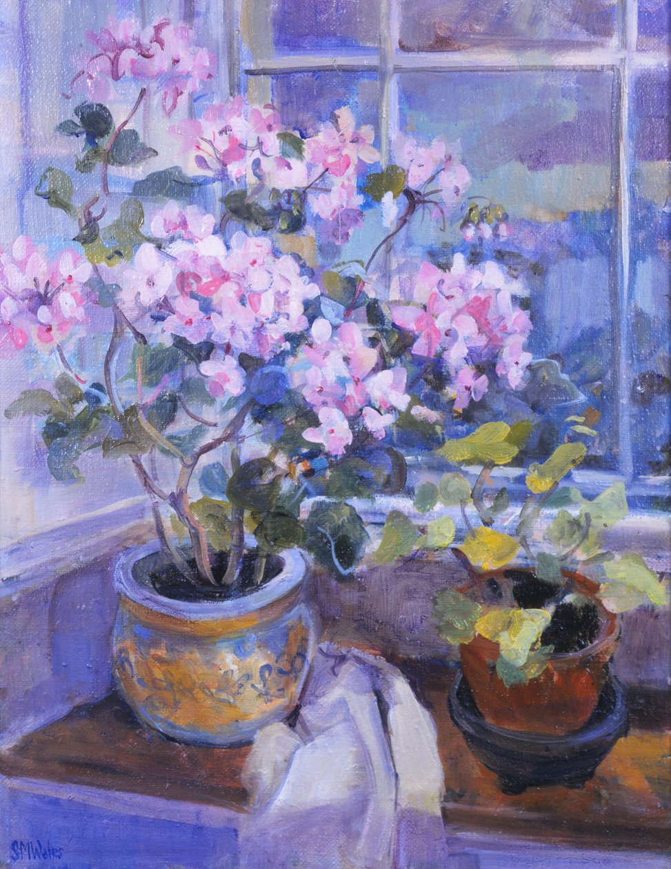 Vaaleanpunainen geranium ikkunapenkillä, 1996, tekijältä Sue Wales