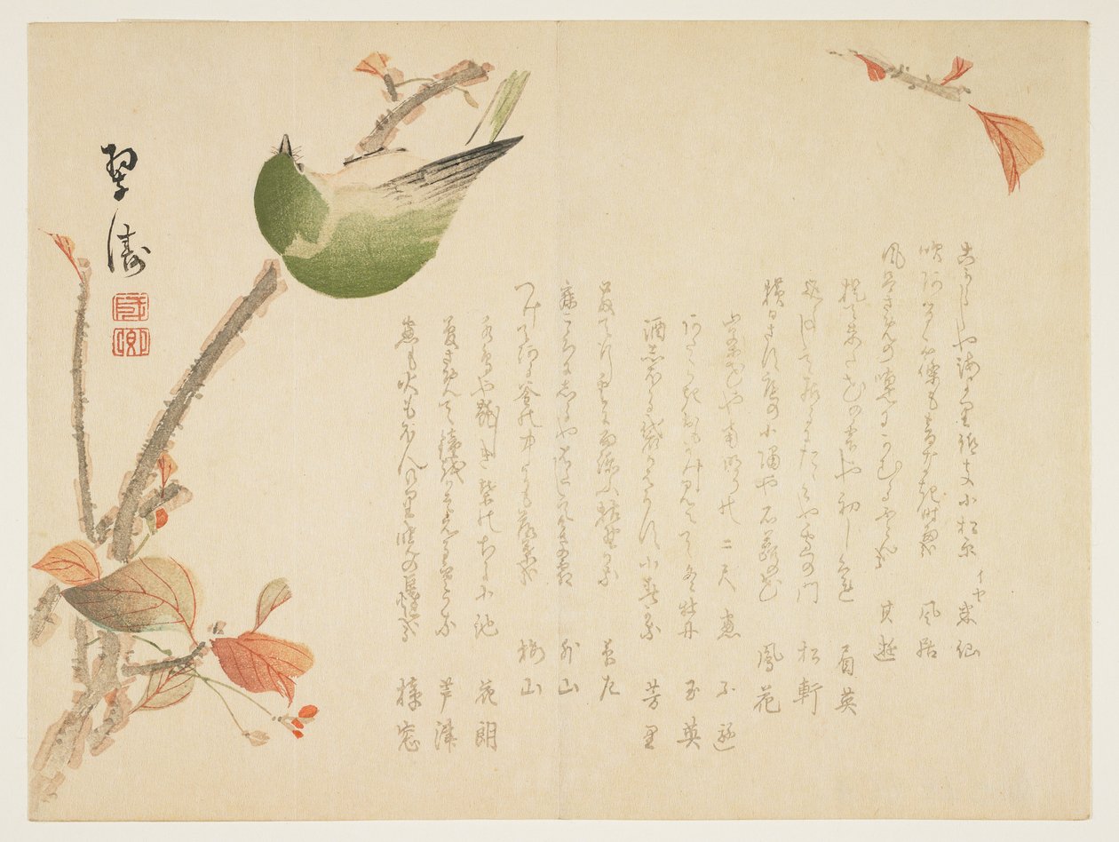 Japanilainen satakieli kyydissä oksalla (värillinen puupainatus) tekijältä Suit