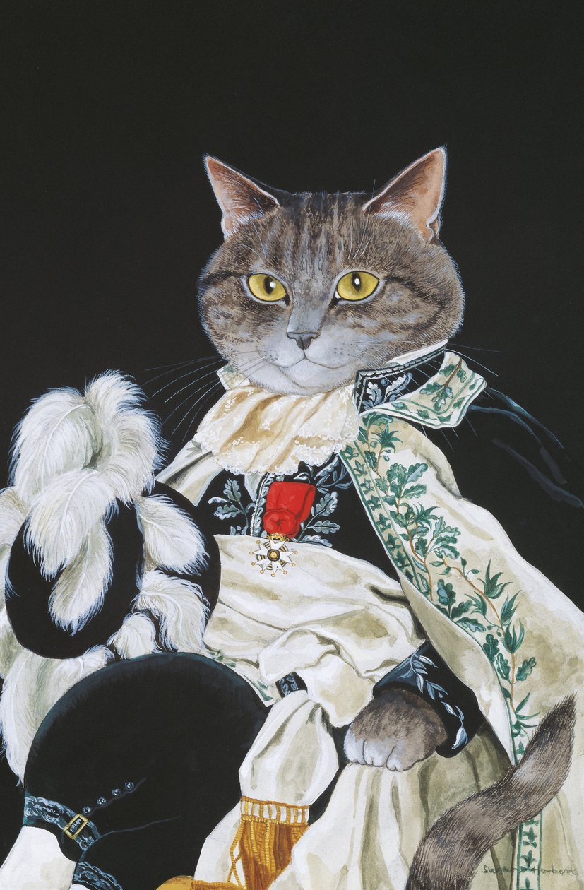 Kuvitus elokuvasta Cats Galore! A Compendium of Cultured Cats (julkaisu 2015). tekijältä Susan Herbert