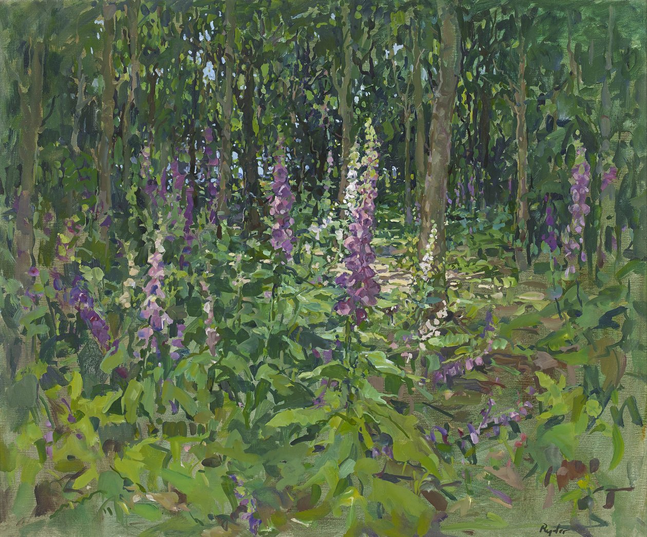 Foxgloves tekijältä Susan Ryder