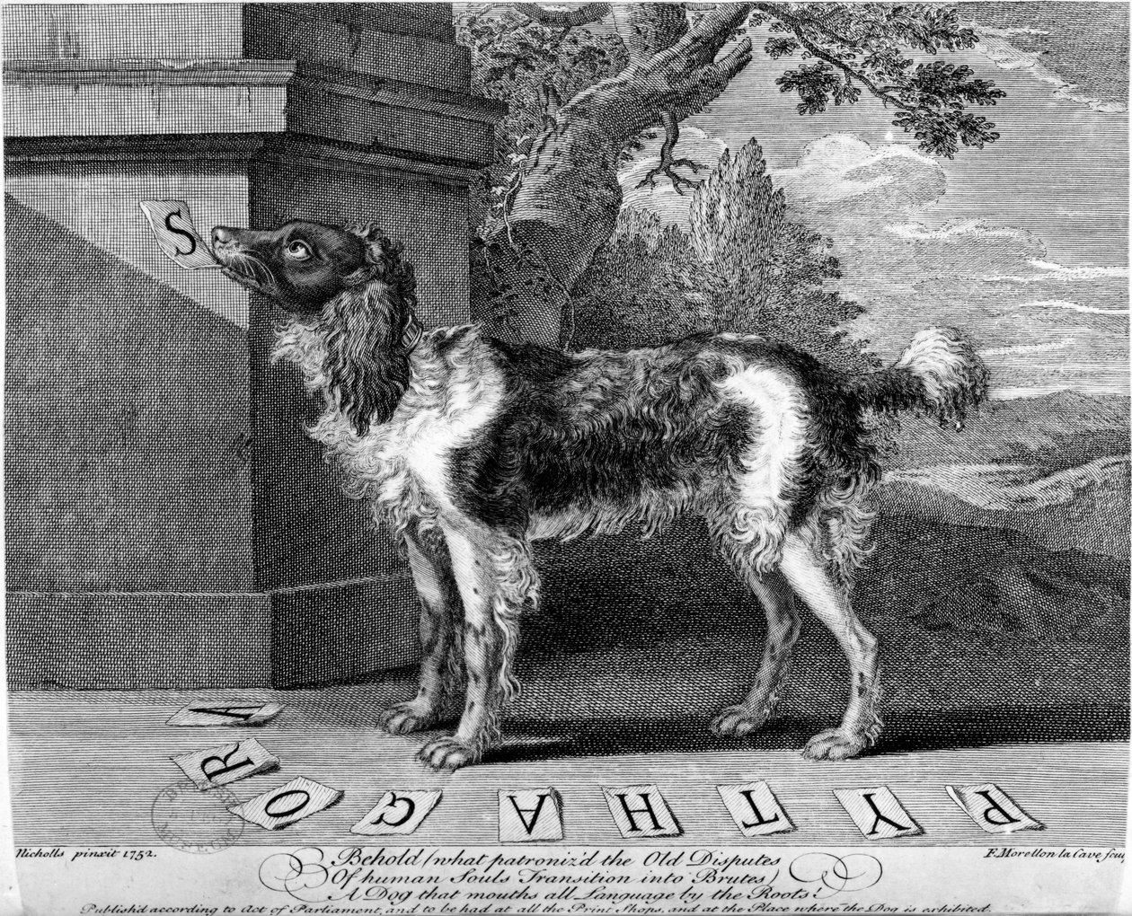 Uusi Chien Savant eli oppinut koira, F-Morellon la Caven tulostama, 1752 tekijältä Sutton Nicholls