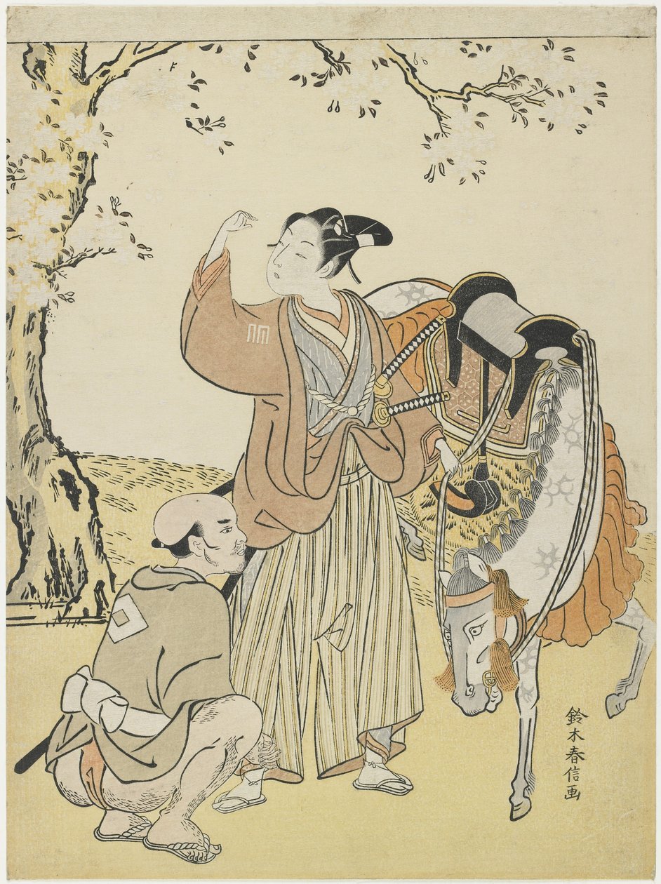Nuori samurai katselee kirsikankukkia prinssi Kaorun mitaattina, n. 1767 tekijältä Suzuki Harunobu