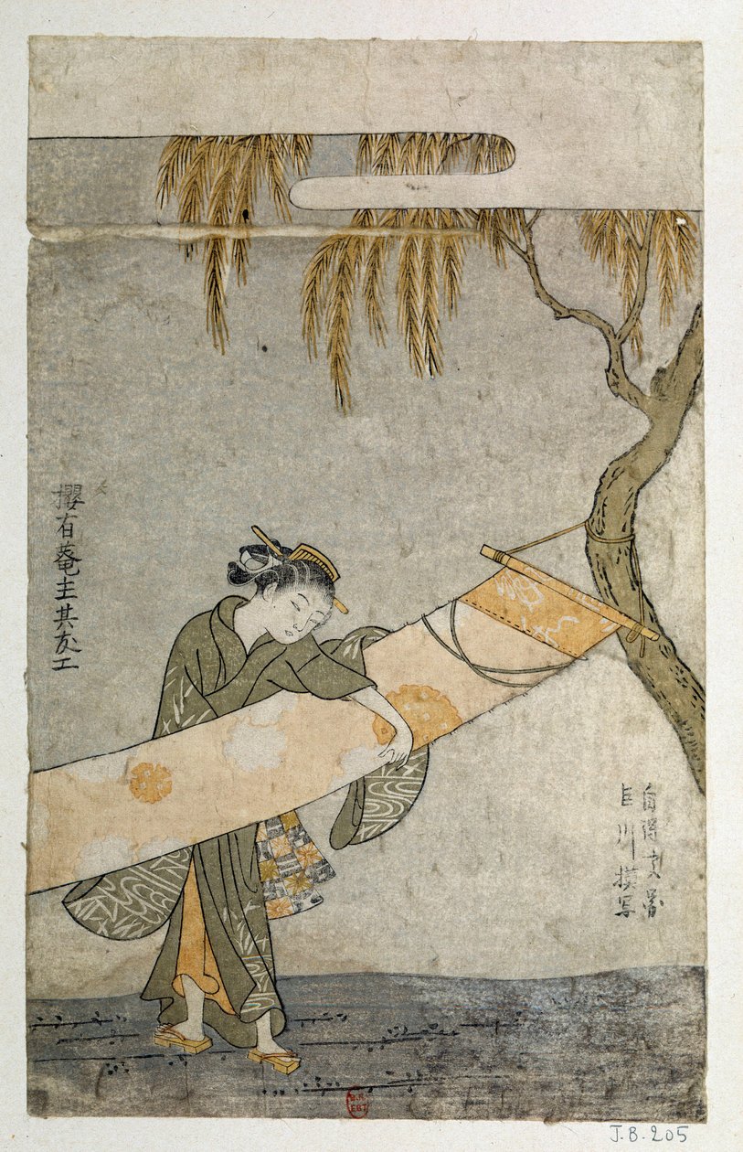 Nuori nainen, joka hoitaa kakemonoa, kiinnittyy puuhun. Harunobu Suzukin (1725-1770) japanilainen printti tekijältä Suzuki Harunobu