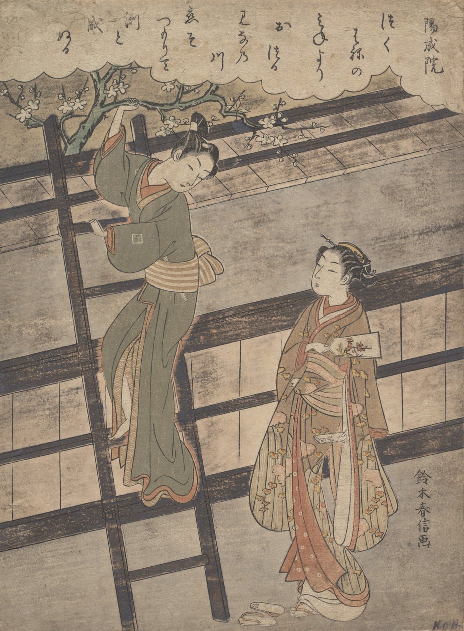 Yöveron jäsen, ? 1766. , hyttynen. 1766. tekijältä Suzuki Harunobu
