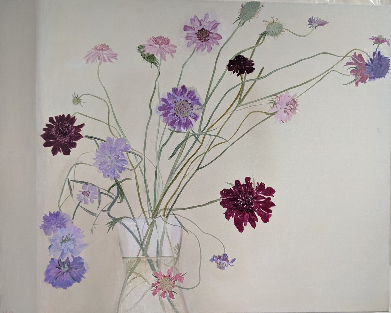 Glorious Scabious, 2021 (öljy kankaalle) tekijältä Suzy Fasht