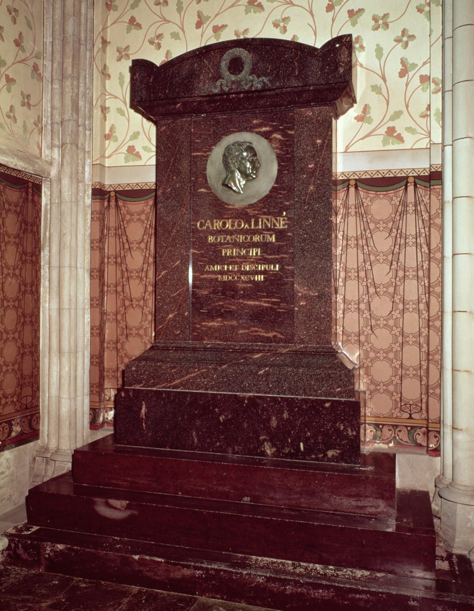 Carl Linnaeuksen (1707-78) hauta tekijältä Swedish School