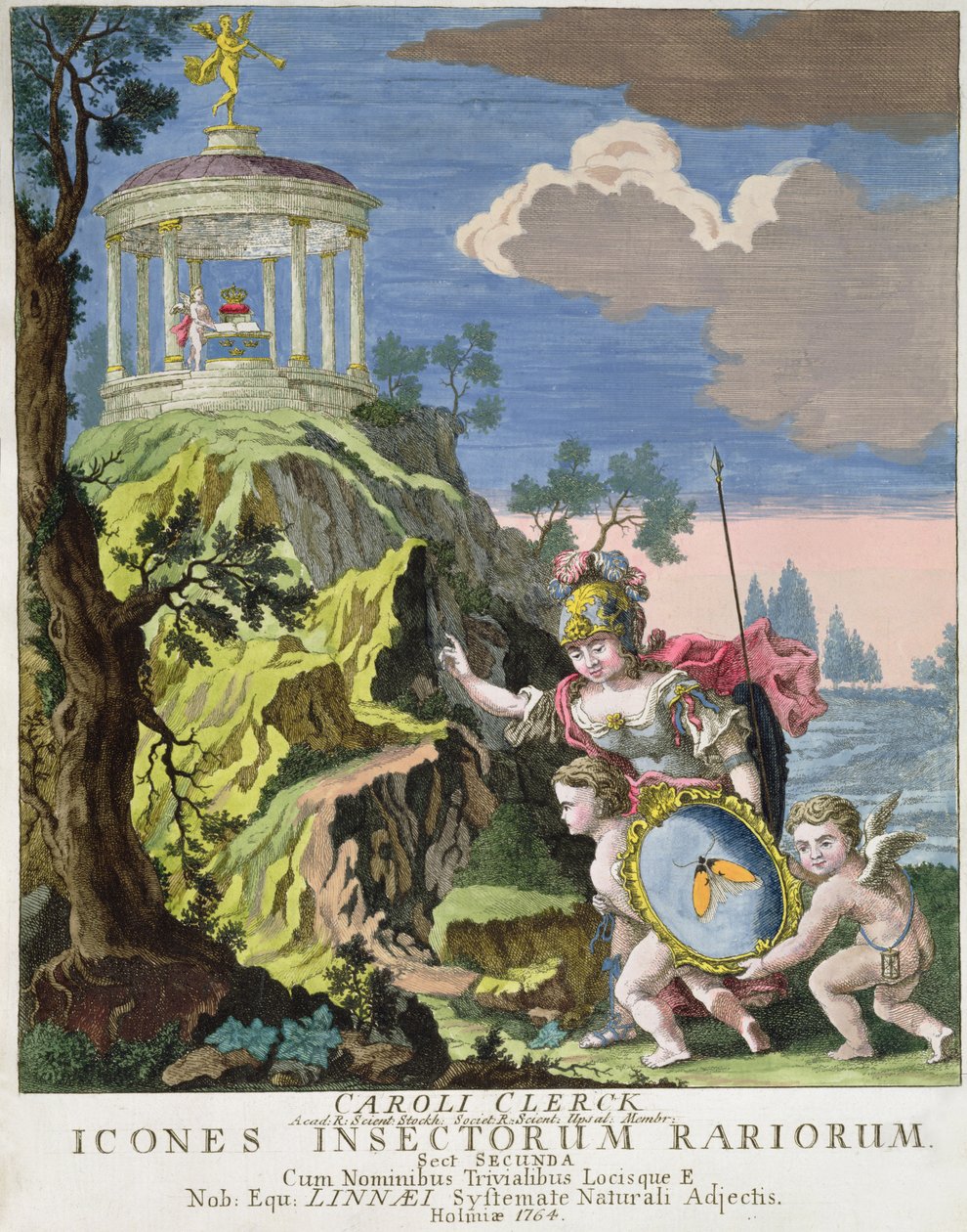 C. Clerck, Ruotsi, Icons Insects Rariorumin etupuoli, 1764 tekijältä Swedish School