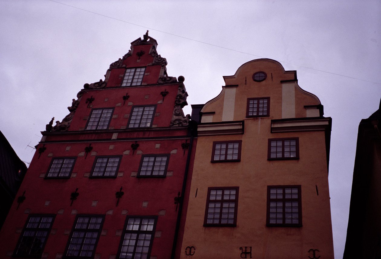 Harjakattoiset talot tekijältä Swedish School