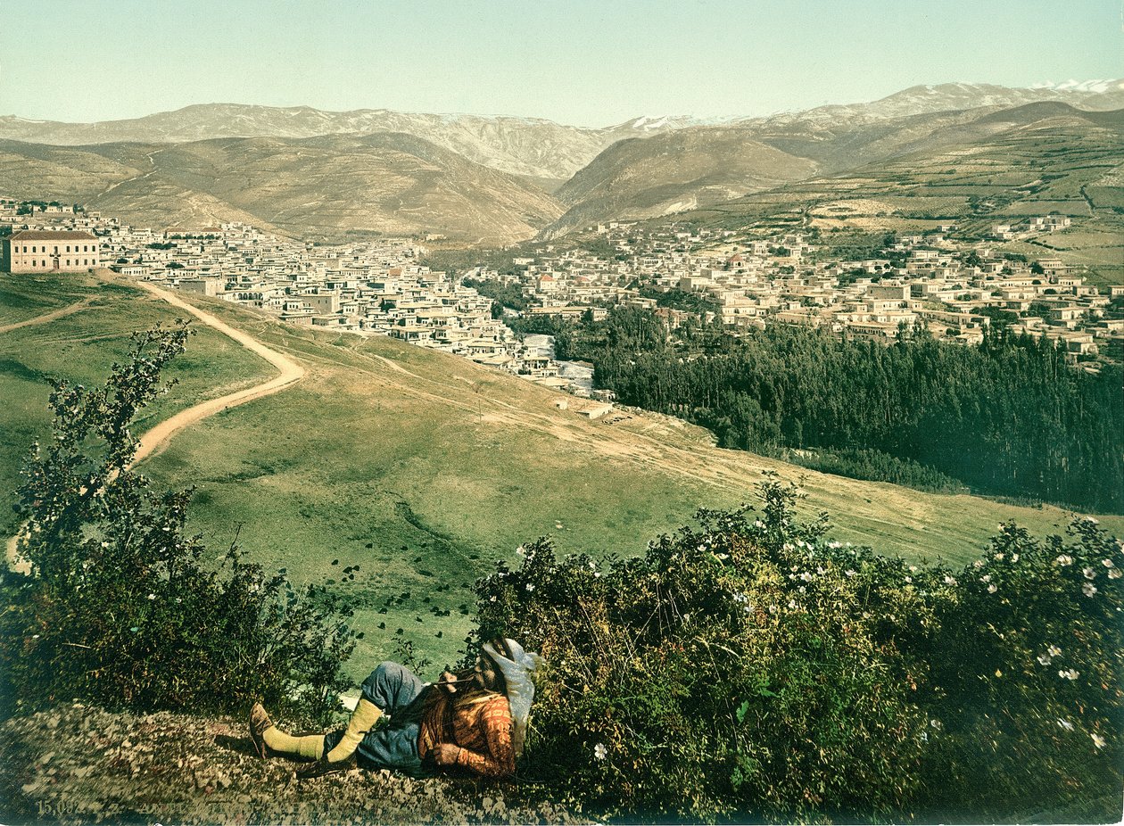Zahleh, Anti-Libanon, n. 1880-1900 (fotokromi) tekijältä Swiss Photographer
