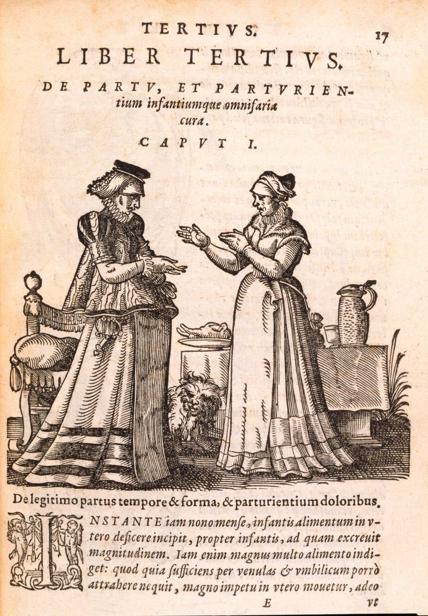 Sairaanhoitaja hoitaa potilasta, jolla on haavoittunut käsi, Jakob Rufin teoksesta De Concepta et Generatione Hominis, 1587 (painettu ja puupiirros paperille) tekijältä Swiss School