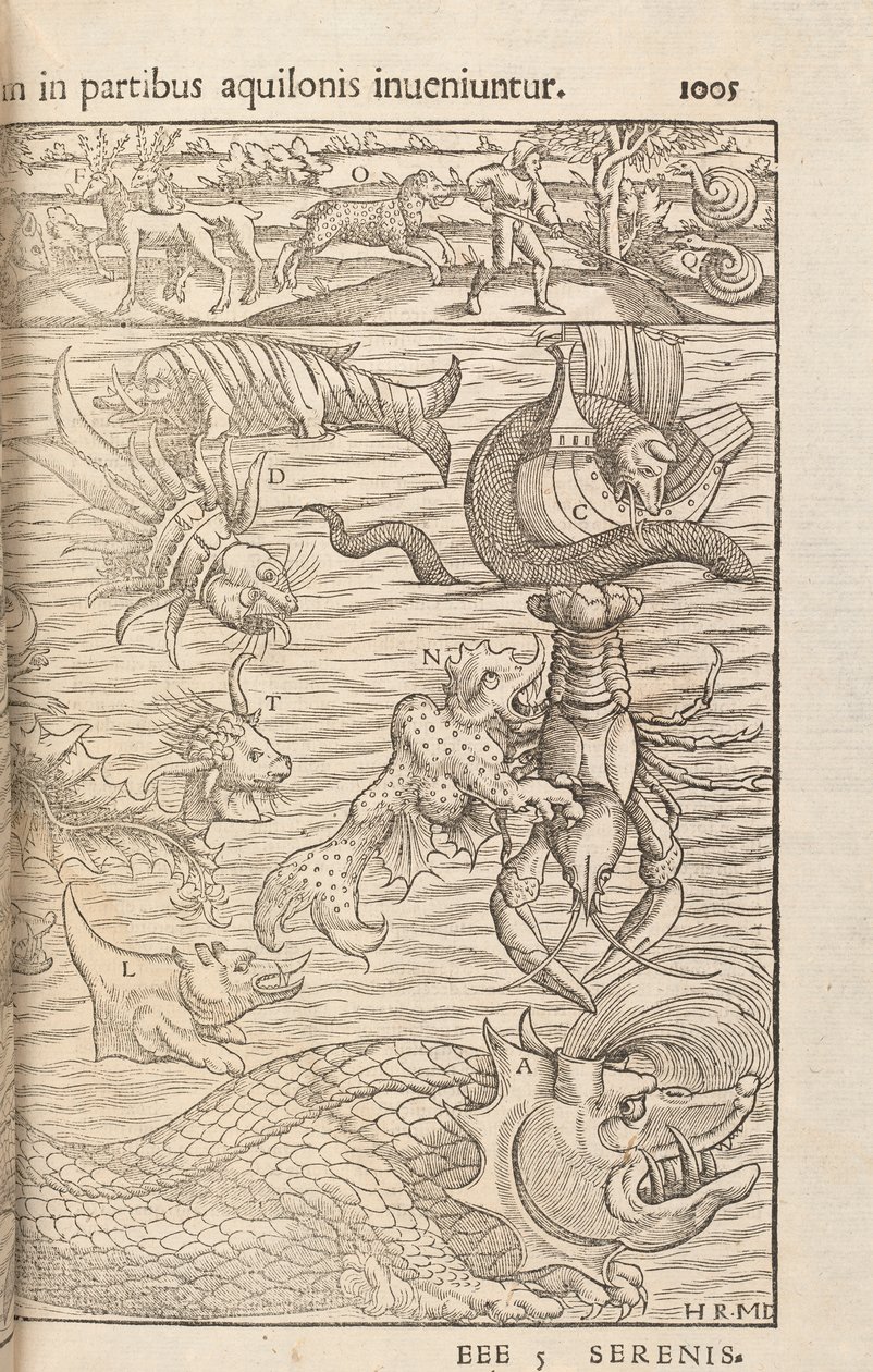 Sivu 1005, Cosmographiae Universalis, Sebastian Muenster, Basel, 1572 tekijältä Swiss School