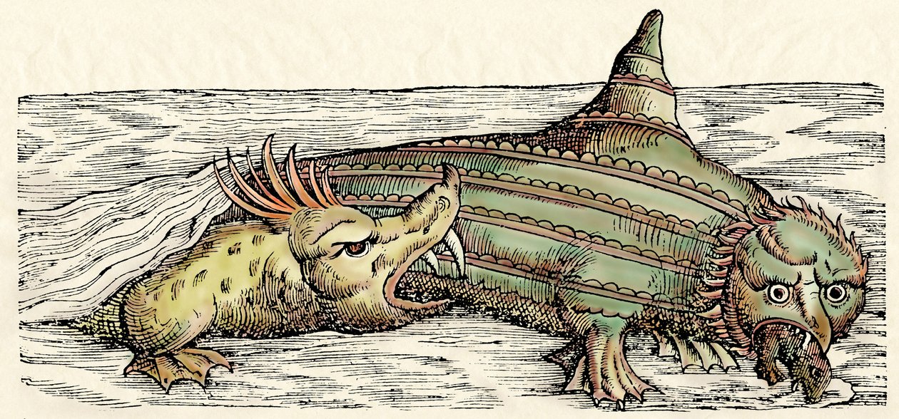 Meriolennot, kuvitus Conrad Gesnerin teoksesta 