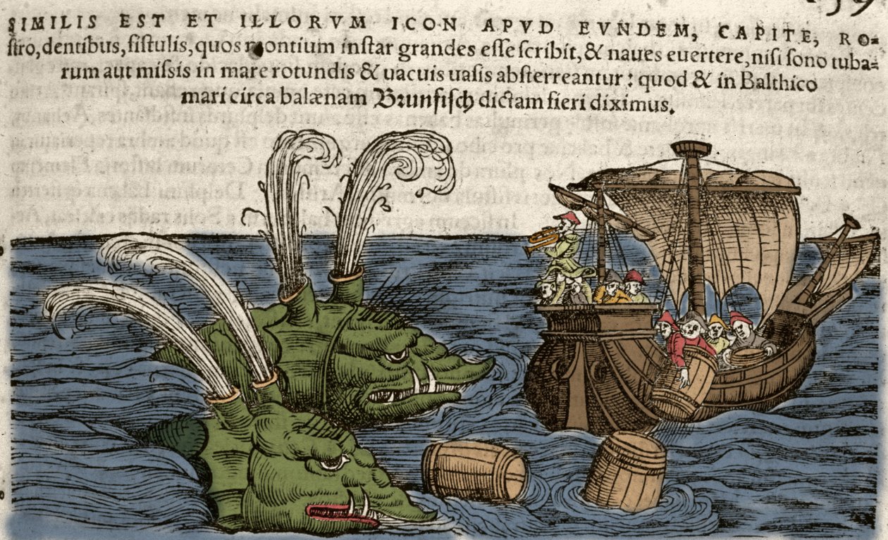 Sea Monsters, kuvitus Conrad Gesnerin Historia Animaliumista tekijältä Swiss School